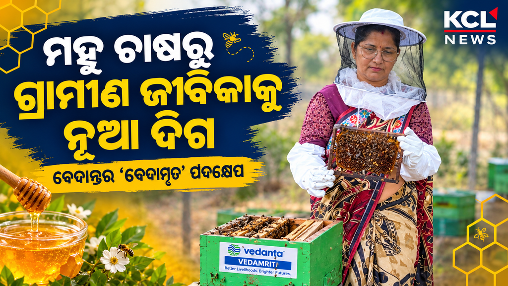 Beekeeper’s Honey Harvest News Graphic