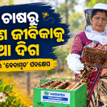 ମହୁମାଛି ପାଳନରୁ ଜୀବିକା ସମୃଦ୍ଧି: ବେଦାନ୍ତ ଆଲୁମିନିୟମର ‘ବେଦାମୃତ’  ଝାରସୁଗୁଡ଼ାର ଚାଷୀଙ୍କୁ ସଶକ୍ତ କରୁଛି